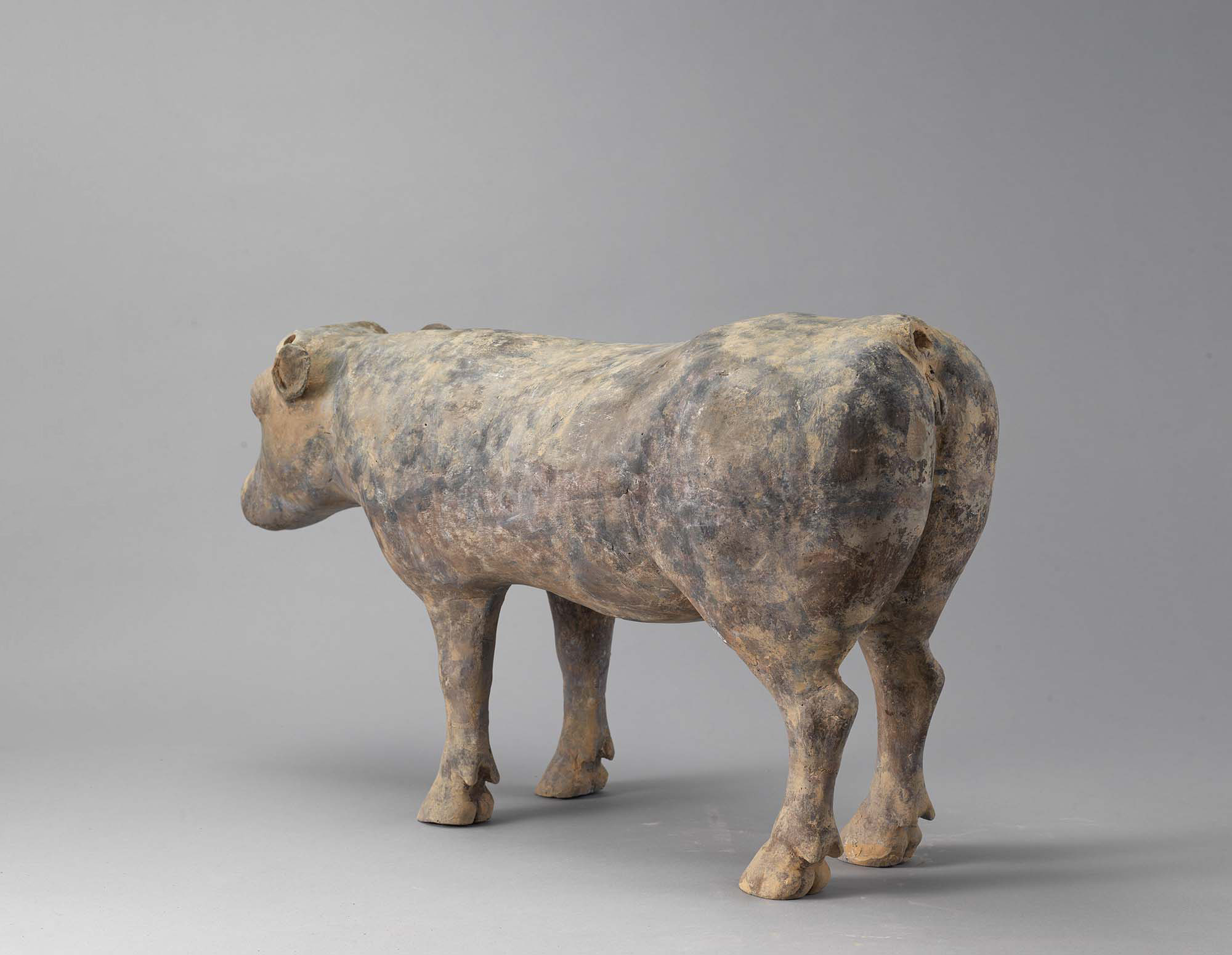 48da7e34f0d4a247ac8304bd8bb73c